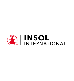 INSOL INT